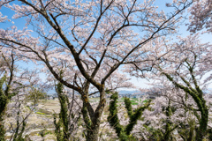 虎御門山2