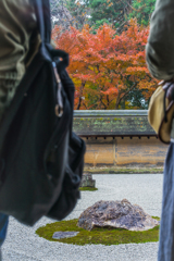 秋の龍安寺2