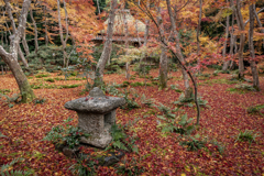 秋の祇王寺