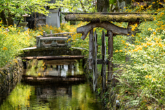 松尾大社3