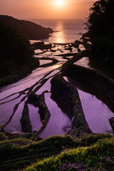 浜野浦