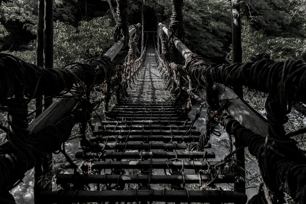 祖谷のかずら橋1