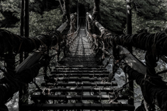 祖谷のかずら橋1