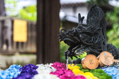 楊谷寺1
