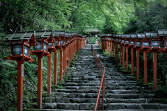 春の貴船1