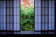 秋の瑠璃光院5