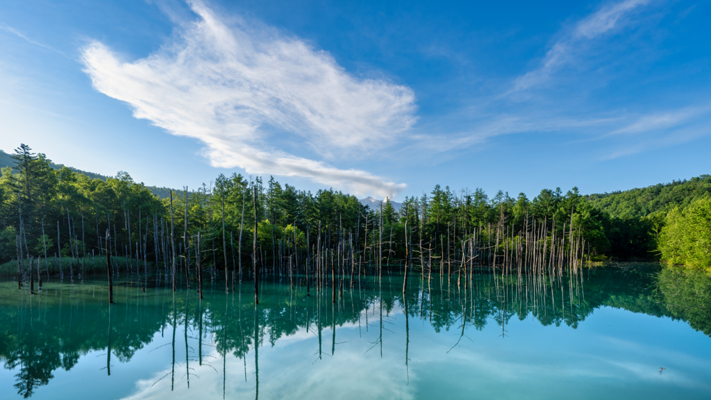 夏の青い池2