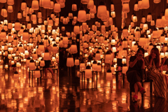 Forest of Resonating Lamps 1