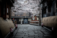 祇園白川2