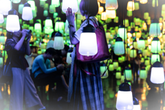 緑の時間