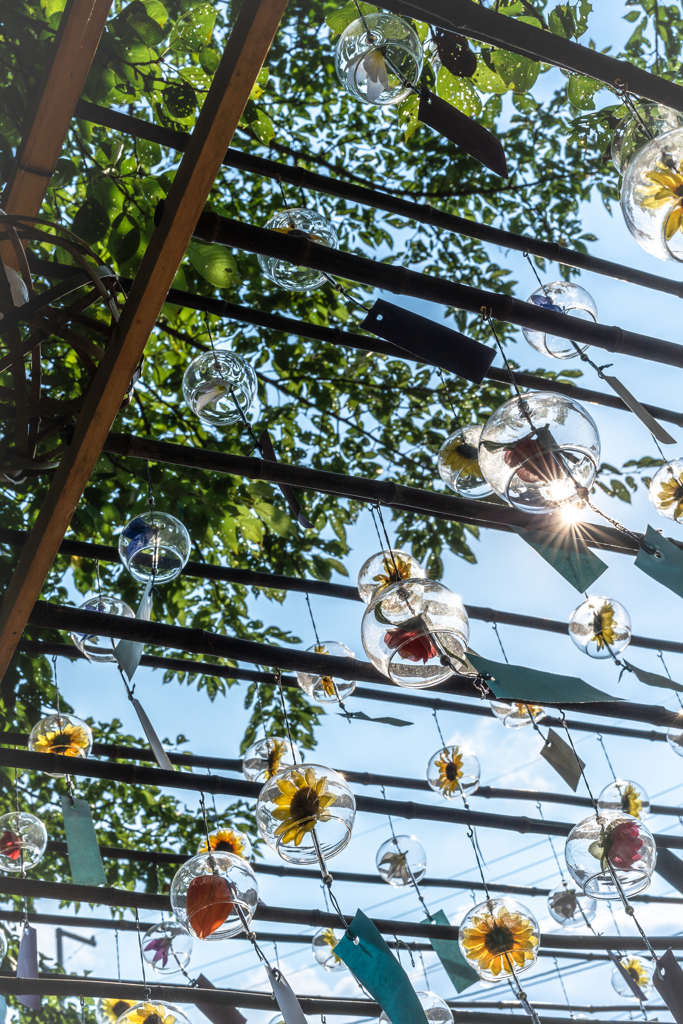 夏だ風鈴撮り行こう2