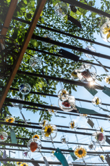 夏だ風鈴撮り行こう2