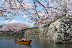 姫路城1