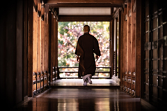 秋の長谷寺2