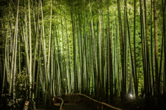 高台寺竹林