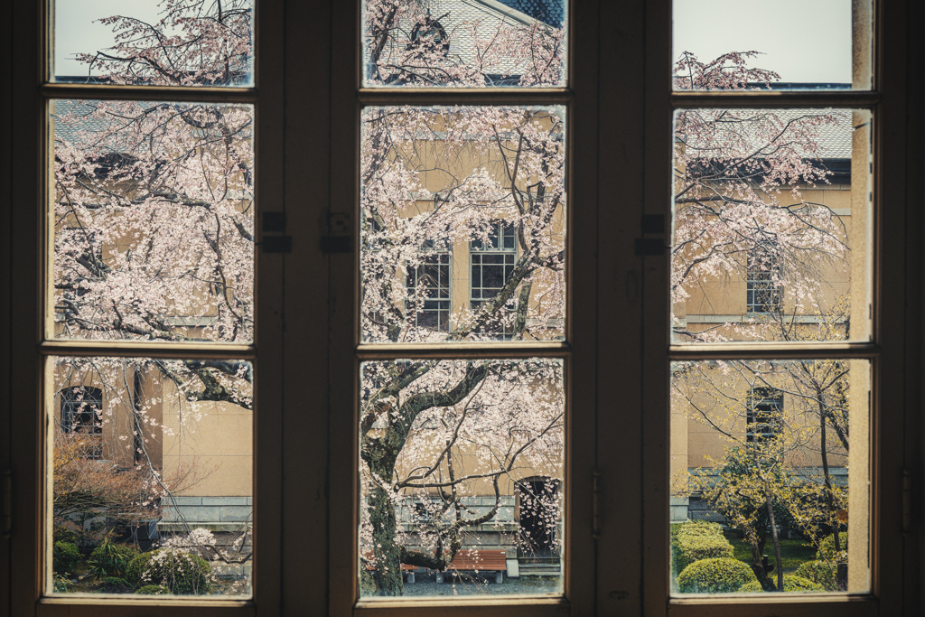 京都府庁旧本館3