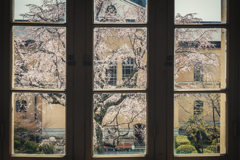 京都府庁旧本館3
