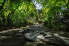 法然院1