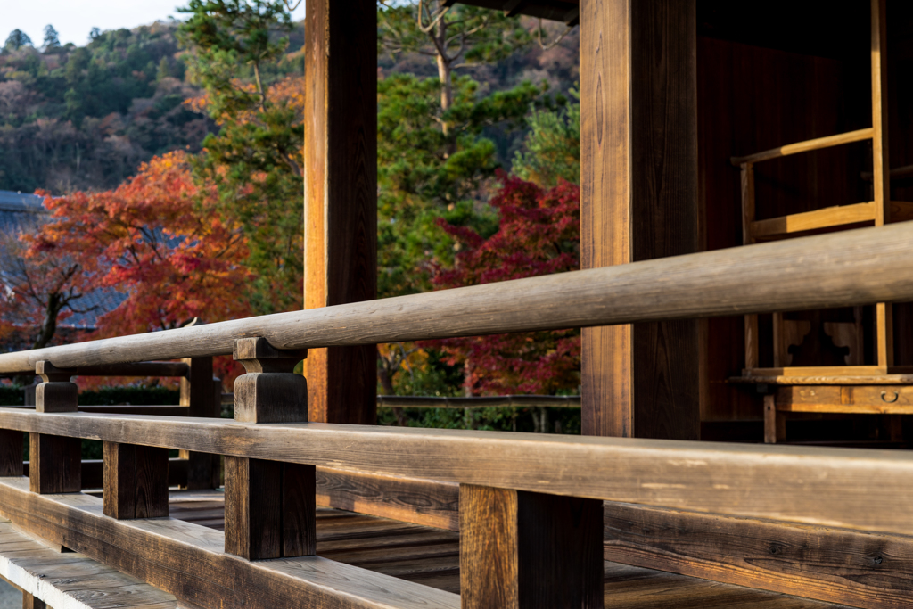 秋の天龍寺2