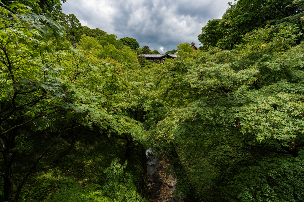 東福寺1