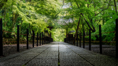 光明寺1