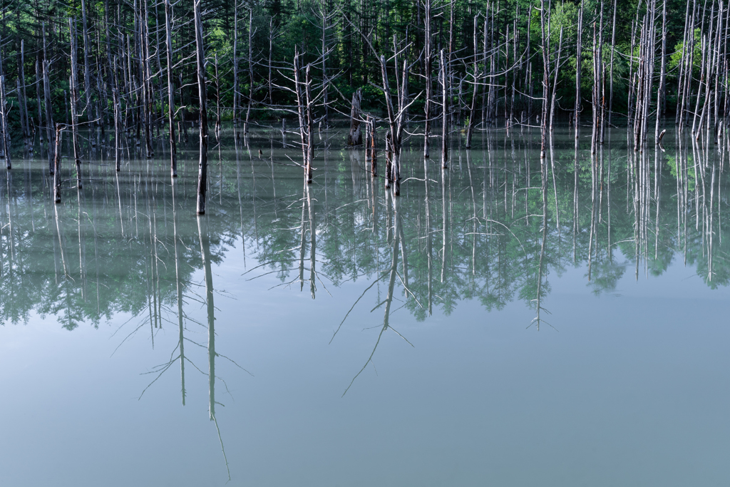 青くない池1