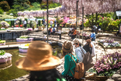 あしかがフラワーパーク1