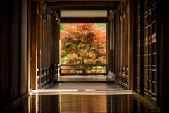 秋の長谷寺2