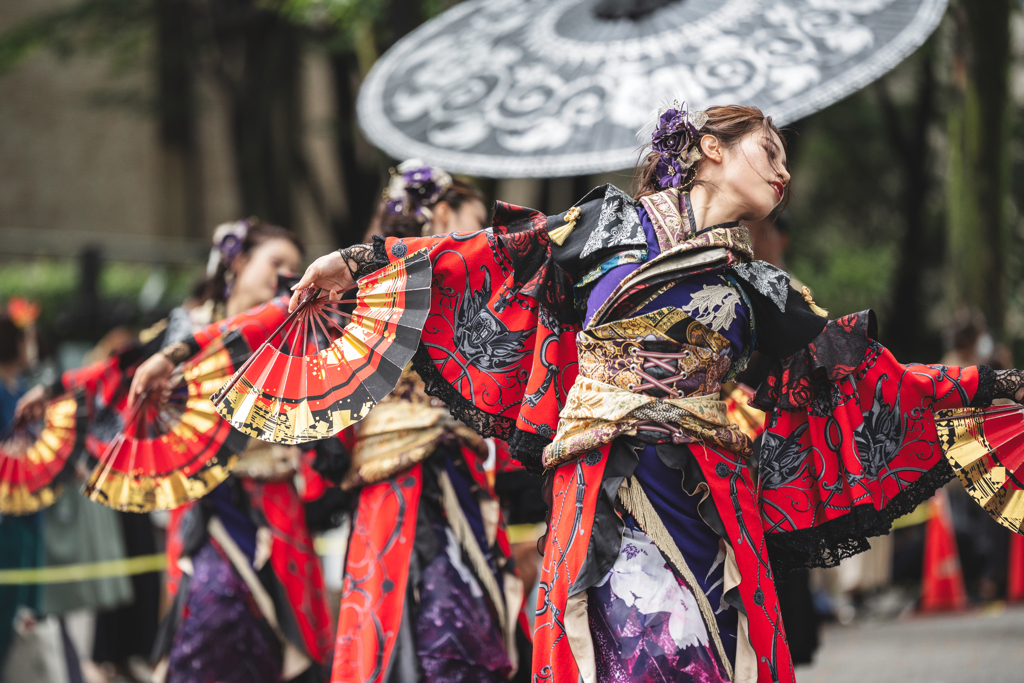 原宿表参道元気祭　常盤