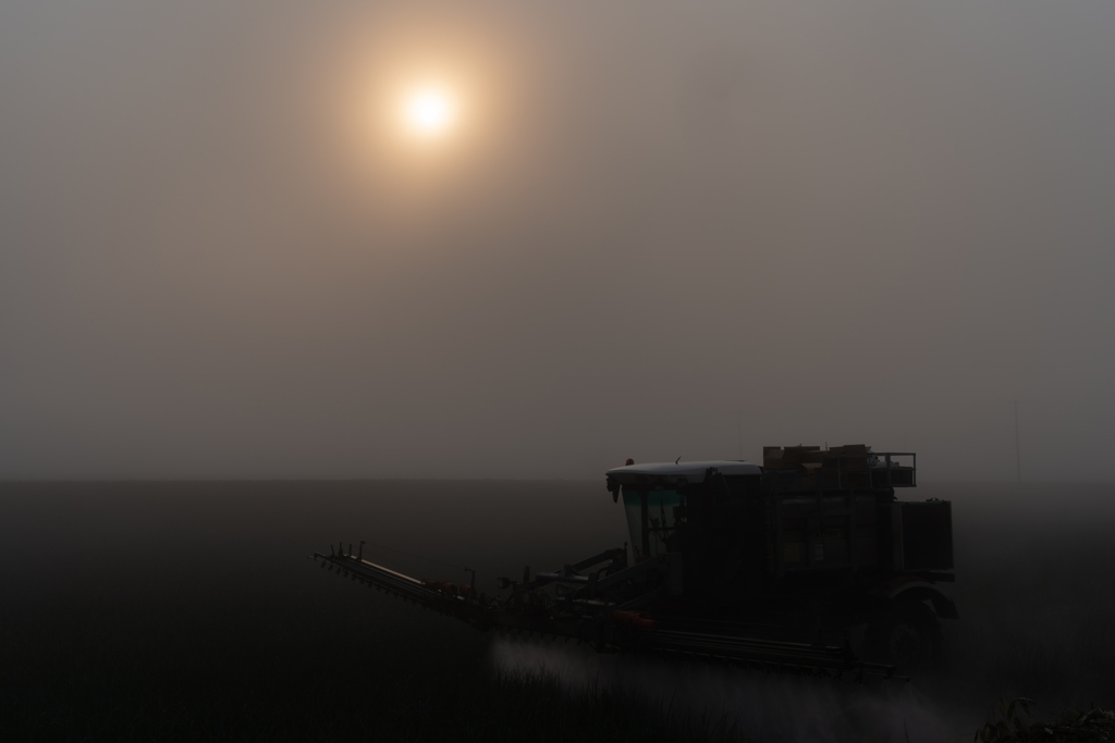 霞む太陽の朝に