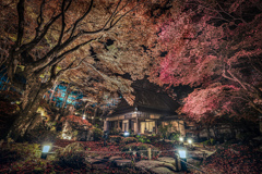夜の教林坊2