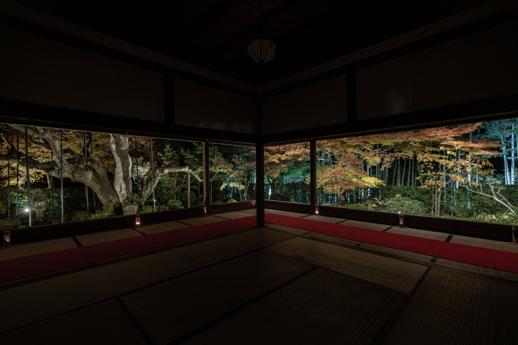 夜の宝泉院2