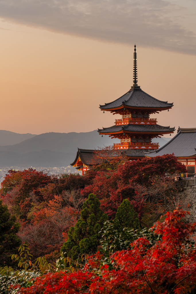 清水寺2