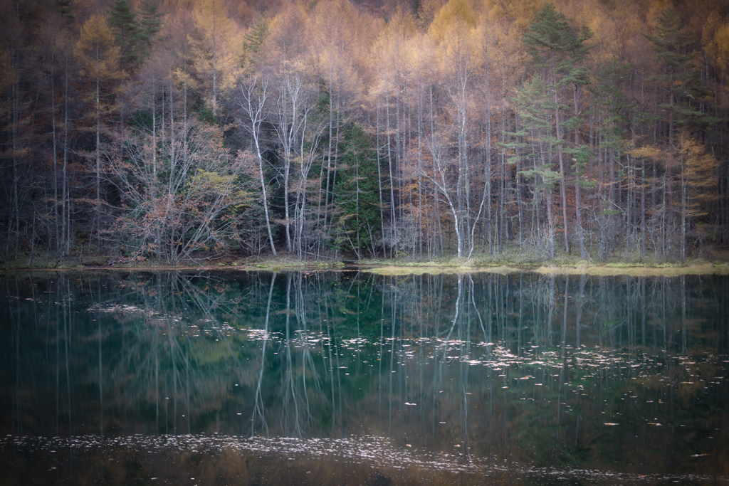 晩秋の御射鹿池