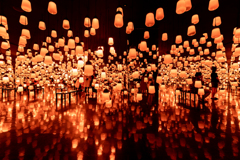 Forest of Resonating Lamps 2