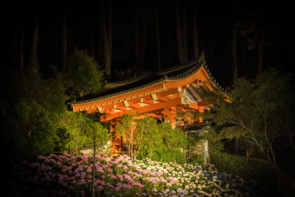 三室戸リターンズ1