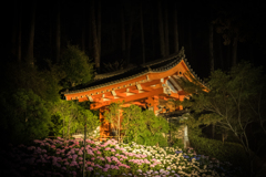 三室戸リターンズ1