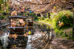 十石舟と花筏2
