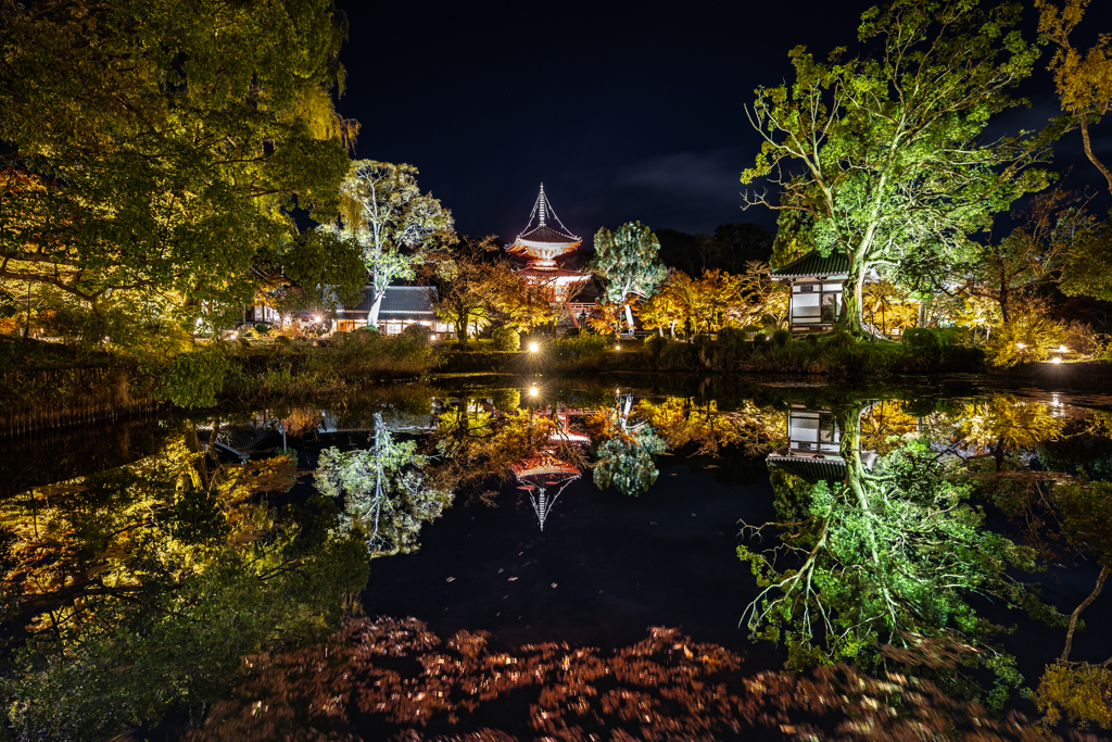 夜の大覚寺