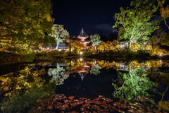 夜の大覚寺