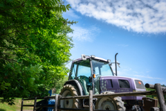 紫色のトラクター