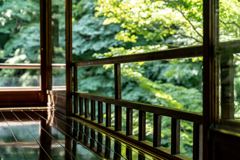 初秋の瑠璃光院3