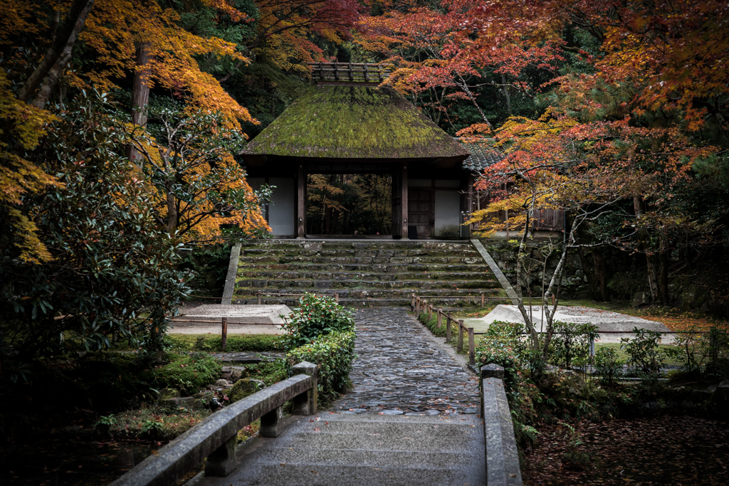 秋の法然院2