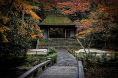 秋の法然院2