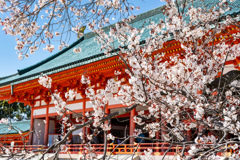 平安神宮2