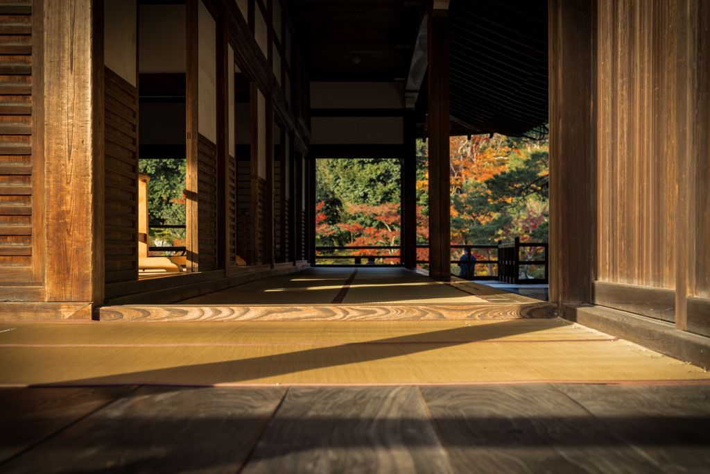 秋の天龍寺3