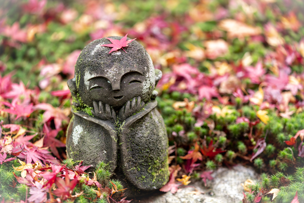 秋の圓光寺1