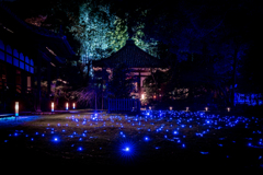 夜の青蓮院