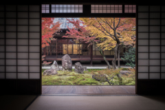 秋の建仁寺1