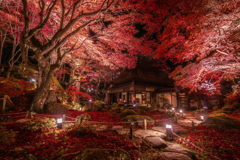 夜の教林坊2
